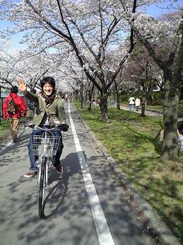 桜道平良.JPG